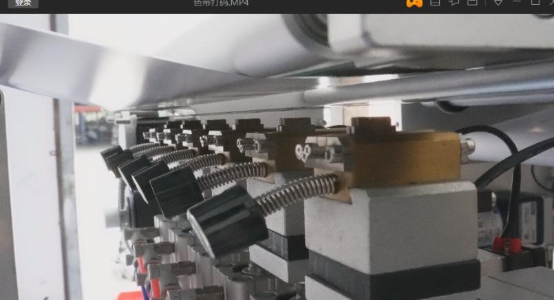 Четырехпоточный станок для фасовки жидких продуктов в фигурные саше-пакеты ZFD 600BY-4